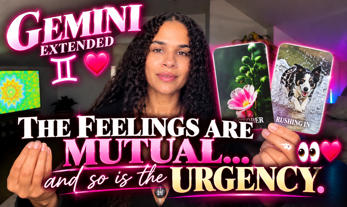 GEMINI ♊️❤️ DAMNNN… THIS PERSON IS DOWN BAD & ABOUT TO DO WHATEVER IT TAKES TO GET YOU 👀🔥 Extended Reading